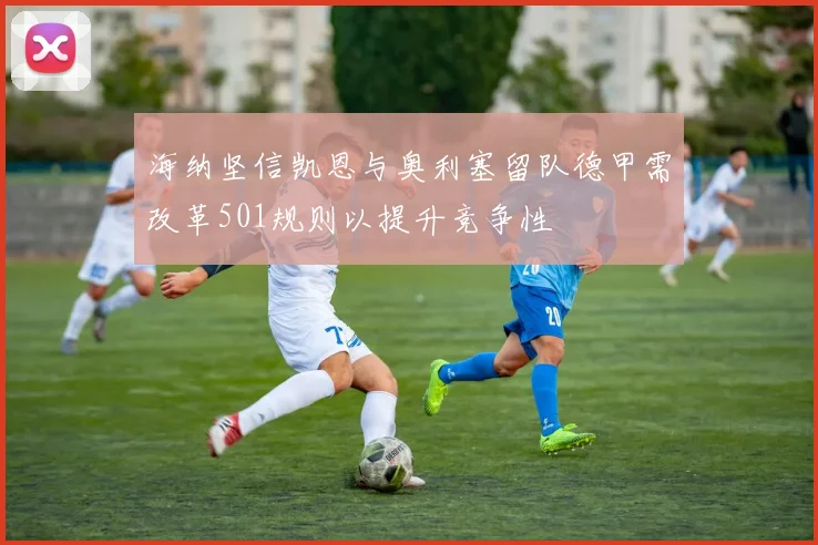 海纳坚信凯恩与奥利塞留队德甲需改革501规则以提升竞争性