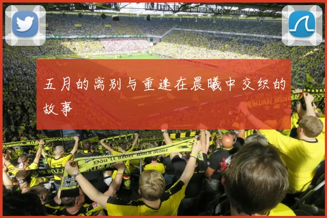 五月的离别与重逢在晨曦中交织的故事