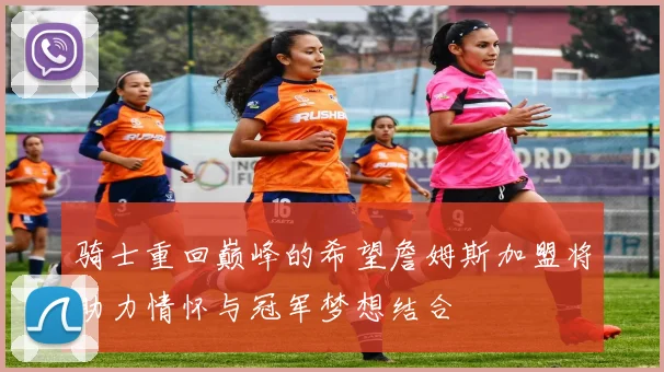 骑士重回巅峰的希望詹姆斯加盟将助力情怀与冠军梦想结合